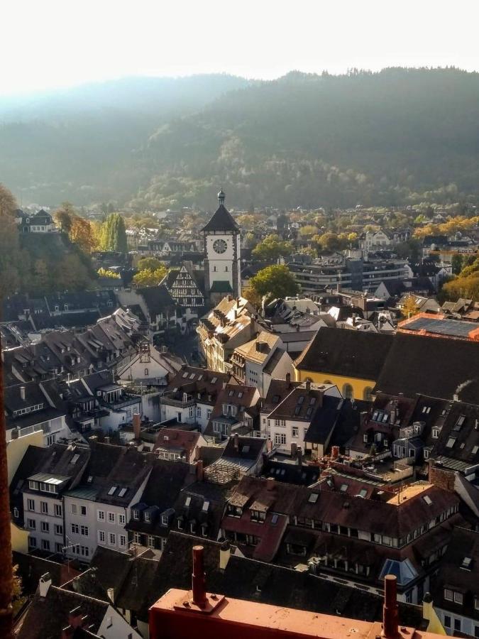City Penthouse Mit Dachterrasse Freiburg im Breisgau Exteriér fotografie